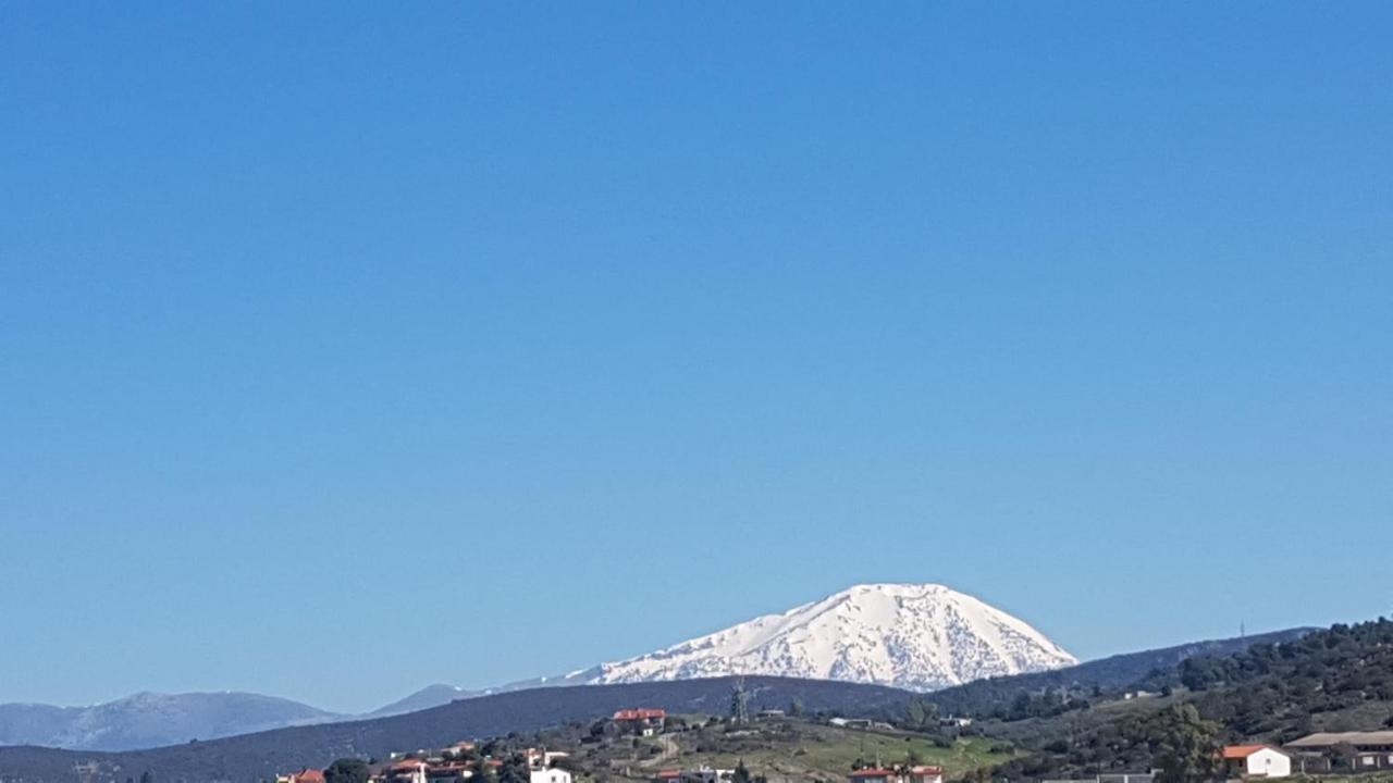 Pipi'S House Διαμέρισμα Νέα Αρτάκη Εξωτερικό φωτογραφία