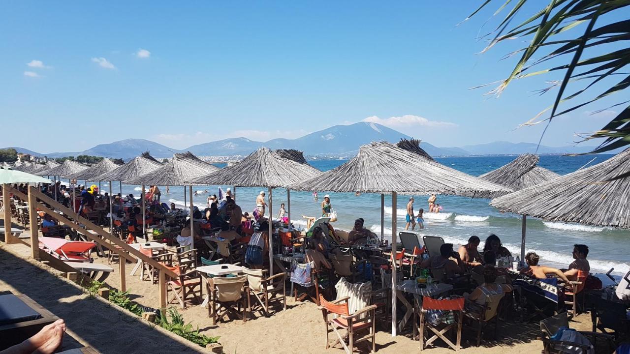 Pipi'S House Διαμέρισμα Νέα Αρτάκη Εξωτερικό φωτογραφία