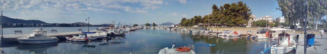 Pipi'S House Διαμέρισμα Νέα Αρτάκη Εξωτερικό φωτογραφία